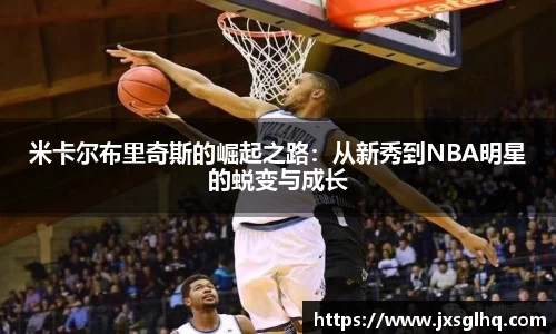 米兰体育官网